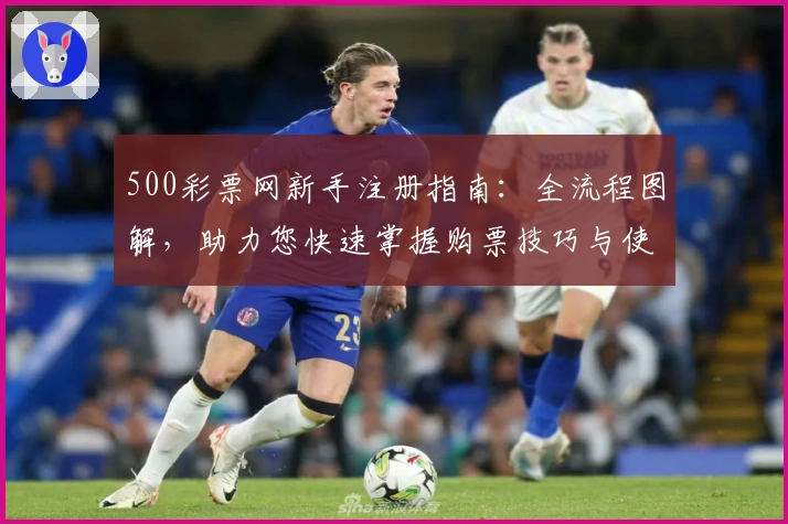 500彩票网新手注册指南：全流程图解，助力您快速掌握购票技巧与使用体验