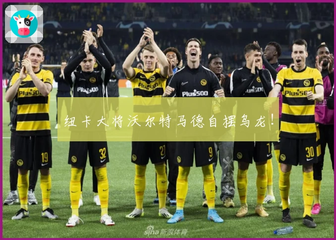 纽卡大将沃尔特马德自摆乌龙！